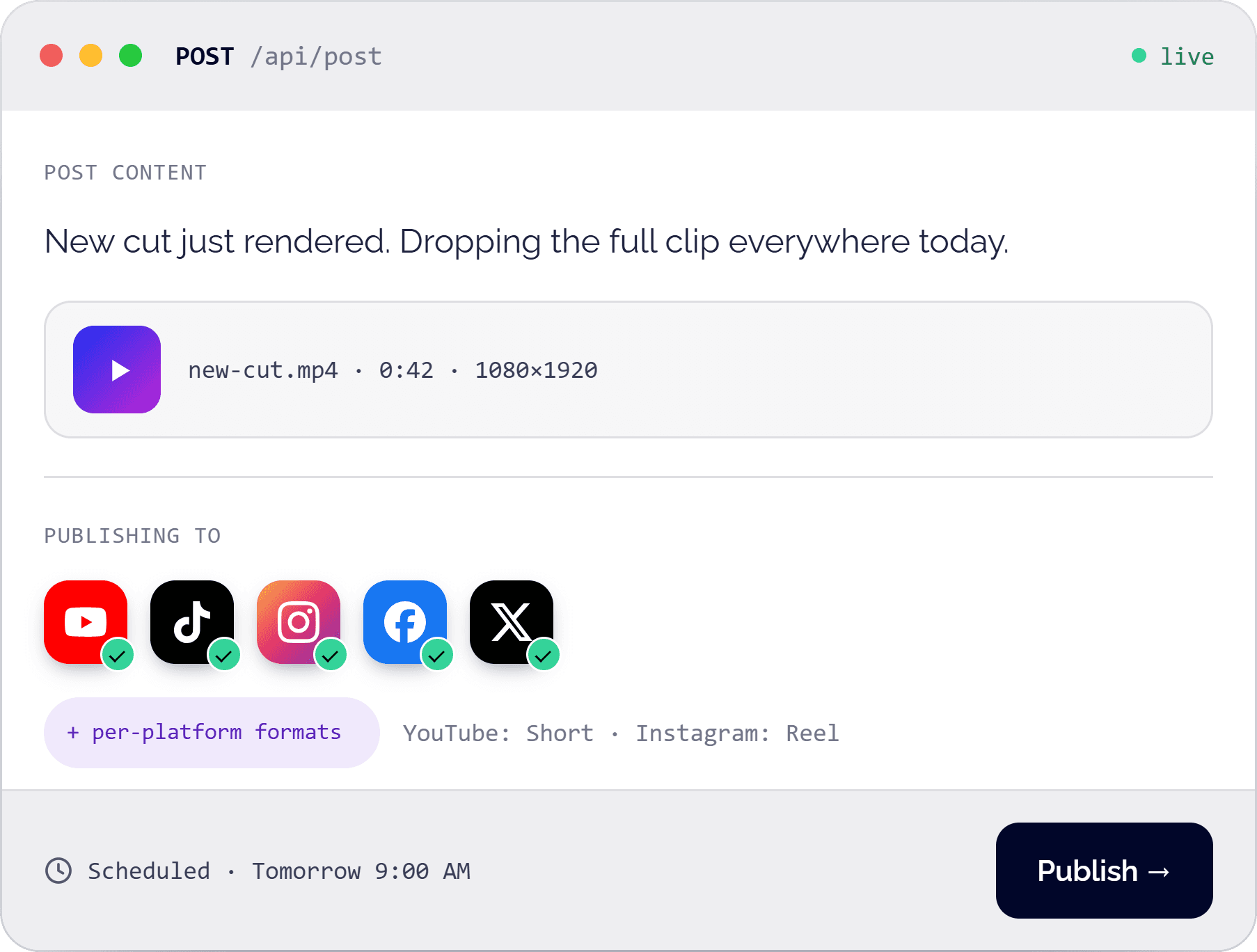 A single API call publishing one generated video clip to YouTube, TikTok, Instagram, Facebook, and X in each network's native format