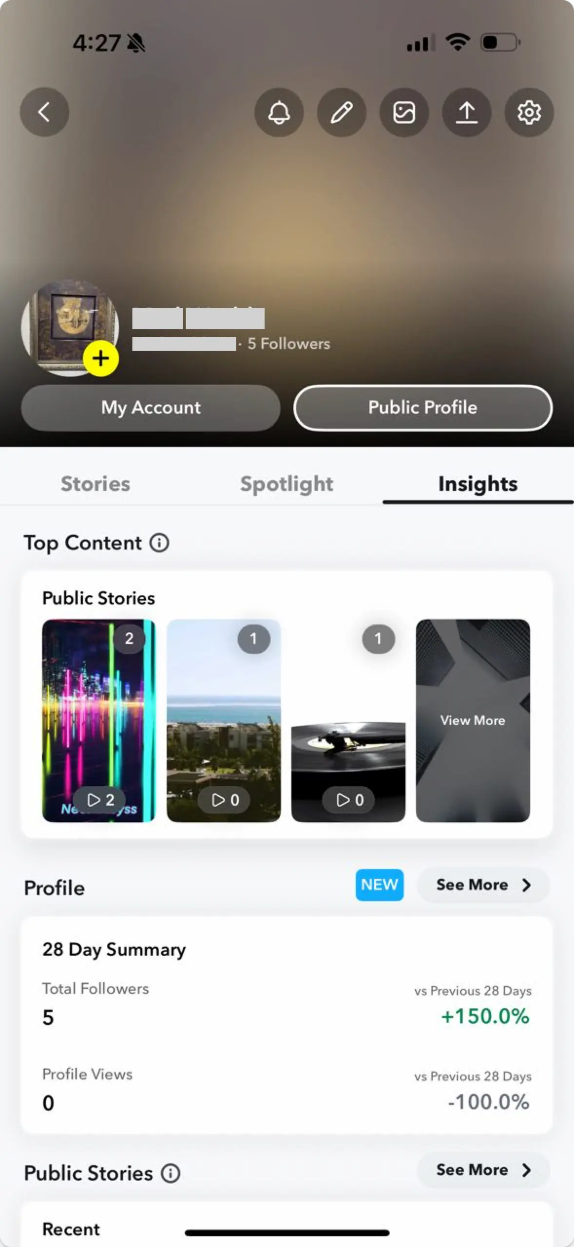 Snapchat public profile