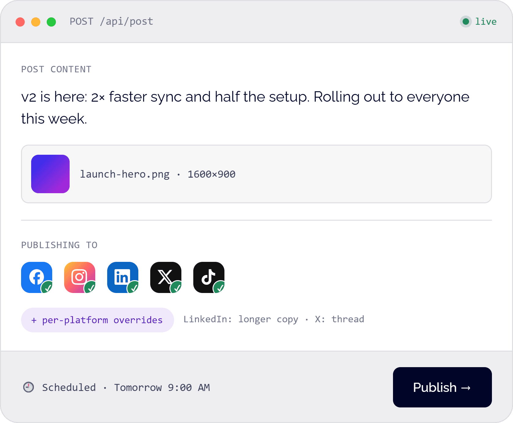 A single API call publishing one post to Facebook, Instagram, LinkedIn, X, and TikTok with per-platform overrides